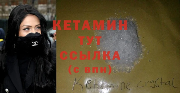 гидра Няндома