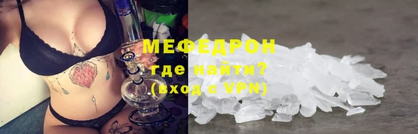 гидра Няндома
