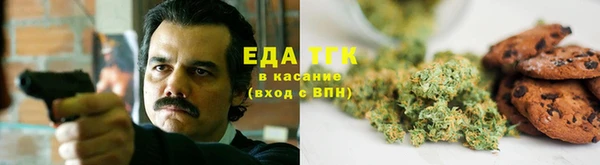 гидра Няндома