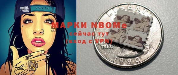 гидра Няндома