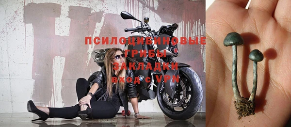 твердый Новодвинск
