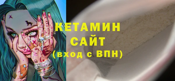 гидра Няндома