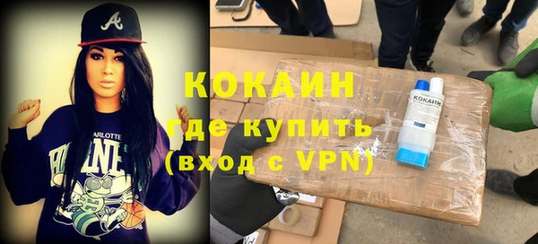 гидра Няндома