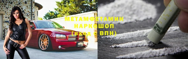гидра Няндома