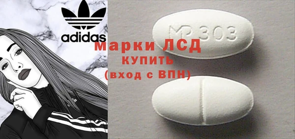 гидра Няндома
