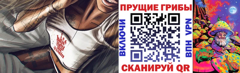 Купить  Брюховецкая  Галлюциногенные грибы Cubensis 